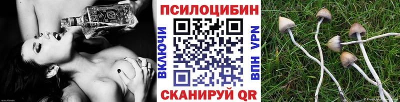 это как зайти  Александровское  Псилоцибиновые грибы Magic Shrooms  даркнет сайт  MEGA ссылка 